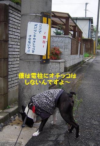 DSCN9924.jpg
