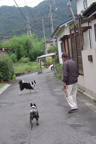 DSCN9962.jpg