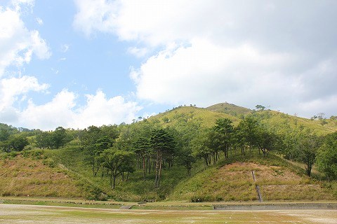 IMG_4888.jpg