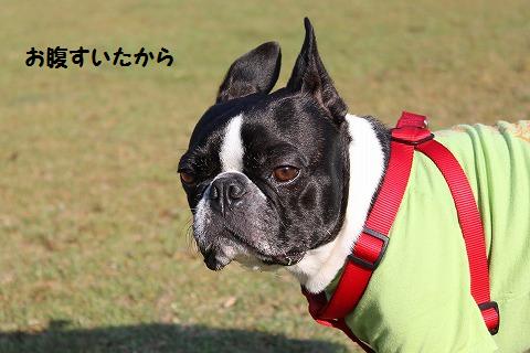 IMG_5025.jpg