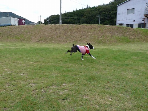 P1440408.jpg