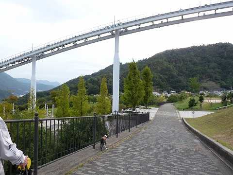 P1440601.jpg
