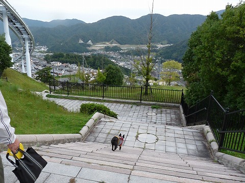 P1440624.jpg