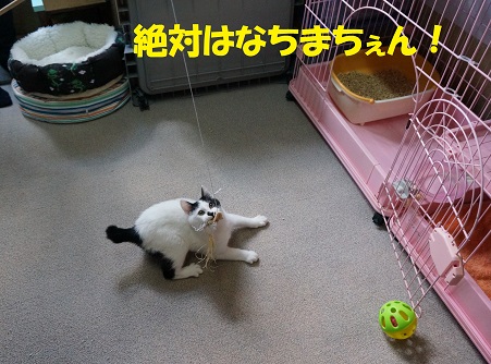 うしまる5