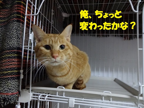 テン1