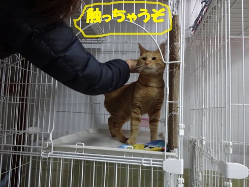テン2