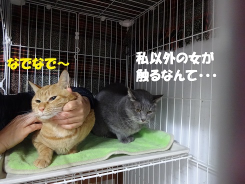 テン・ナオ5