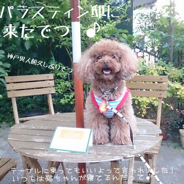 2014092820135266f.jpg