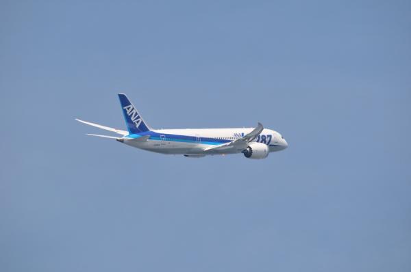 DSC_1873.jpg