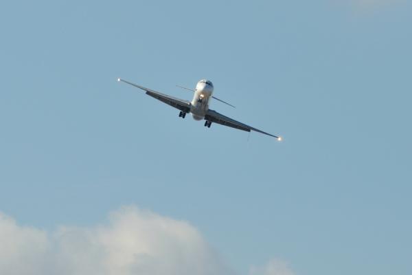 DSC_2291.jpg