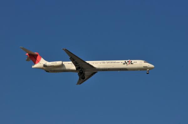 DSC_2300.jpg