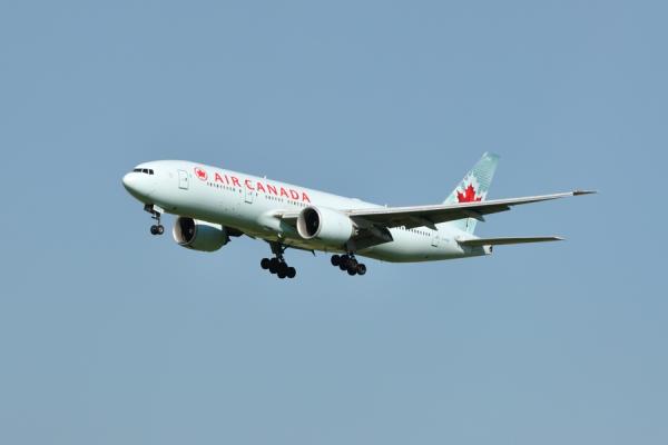 DSC_4553.jpg
