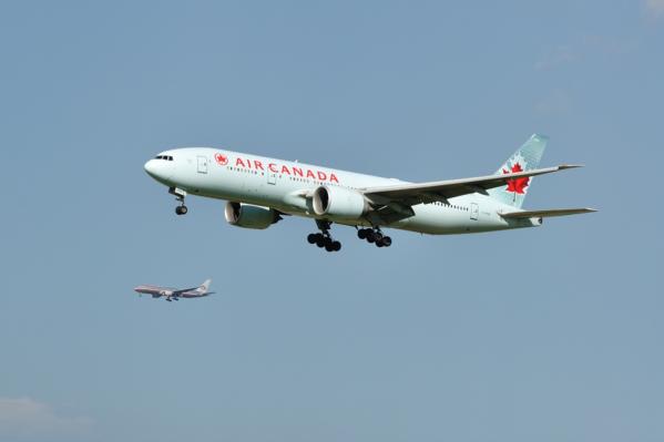 DSC_4554.jpg