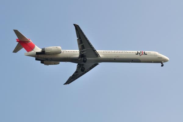 DSC_4884.jpg