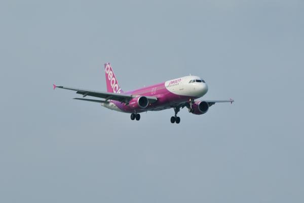 DSC_5853.jpg