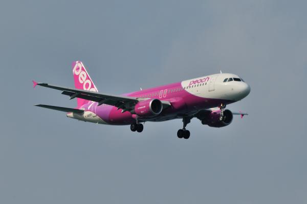 DSC_5855.jpg