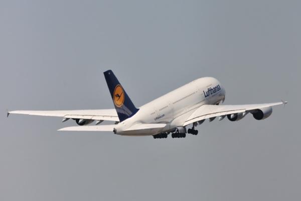 DSC_6055.jpg