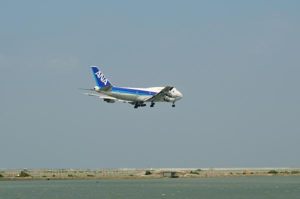 DSC_6310.jpg