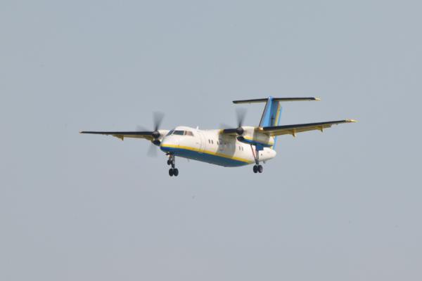 DSC_7040.jpg