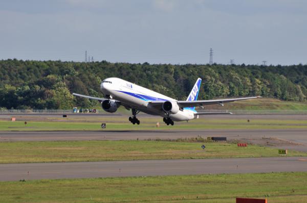 DSC_7262.jpg