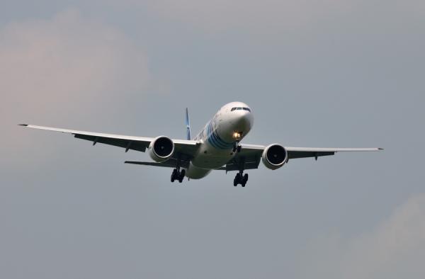 DSC_7787.jpg