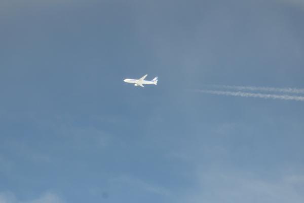 DSC_7806.jpg
