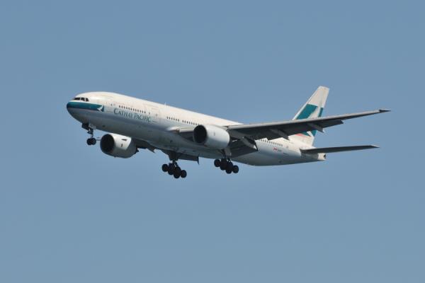 DSC_7862.jpg