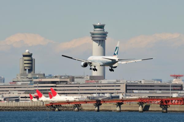 DSC_7877.jpg