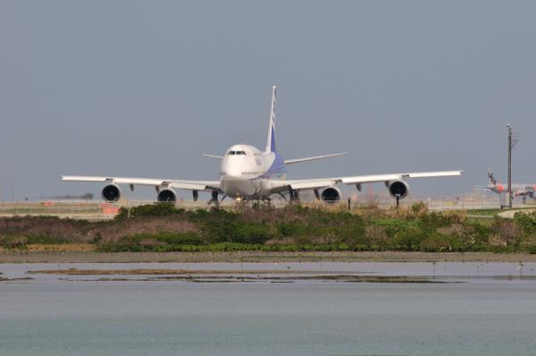 DSC_8248.jpg