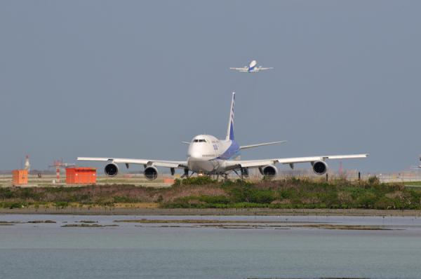 DSC_8250.jpg