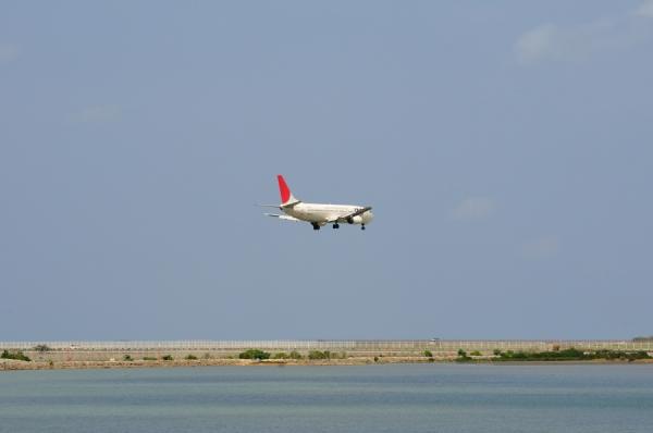 DSC_8260.jpg