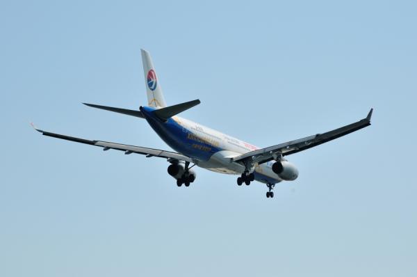 DSC_8272.jpg