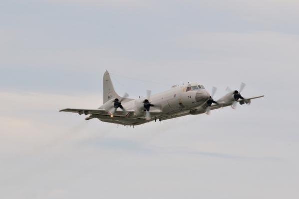DSC_8454.jpg