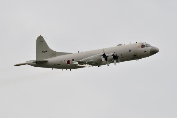 DSC_8461.jpg