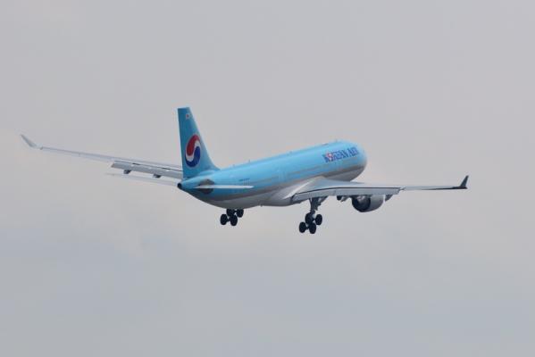 DSC_8980.jpg