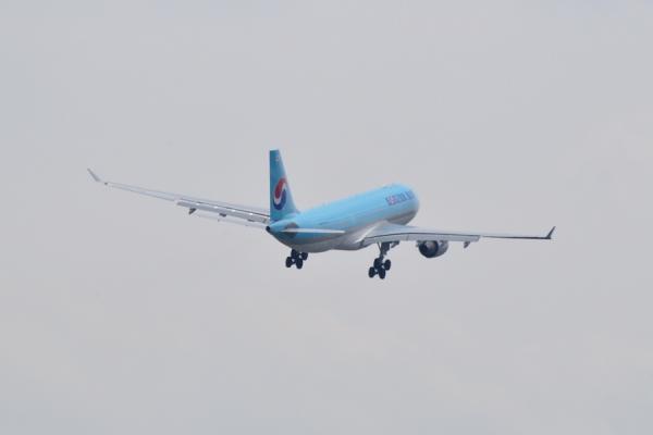 DSC_8982.jpg