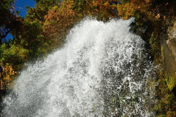 DSC_9741.jpg