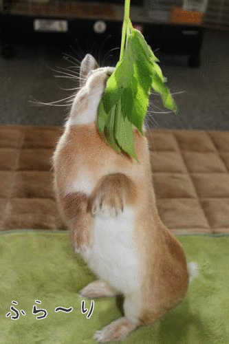 1367104807AYdjBesVUoHMZme1367104805.gif