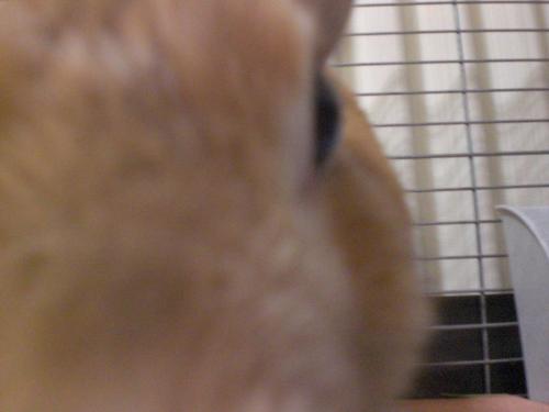 CIMG6584_convert_20130628091540.jpg