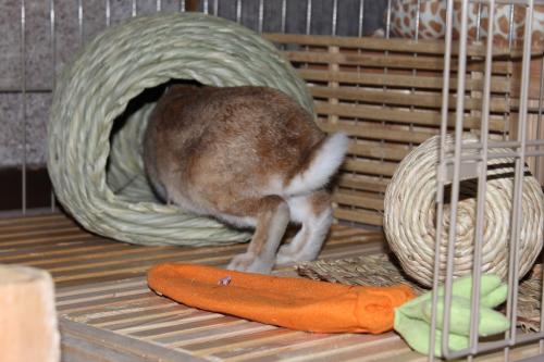 IMG_4433_convert_20130307081222.jpg