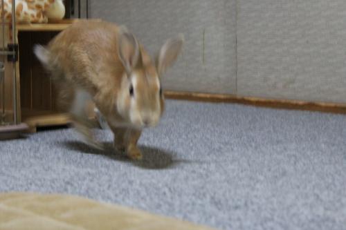 IMG_4801_convert_20130327091810.jpg