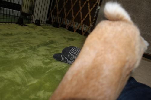IMG_4978_convert_20130402085142.jpg