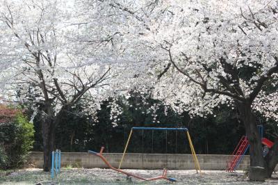 IMG_5038_convert_20130405092510.jpg