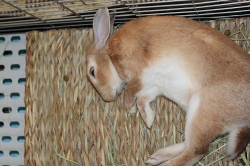 IMG_5399_convert_20130417090157.jpg