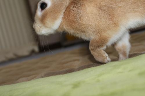 IMG_5637_convert_20130426113445.jpg