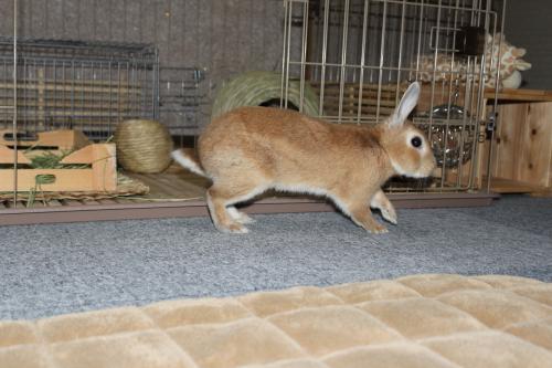 IMG_5668_convert_20130425105431.jpg