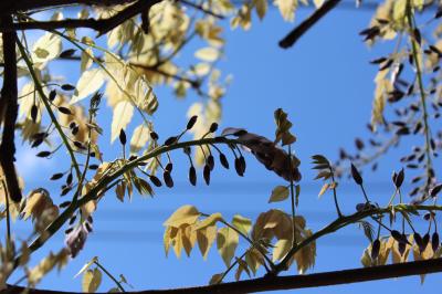 IMG_5743_convert_20130428182012.jpg