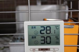 IMG_6128_convert_20130515093049.jpg