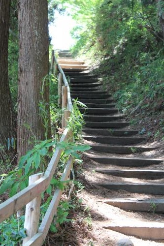 IMG_6244_convert_20130522090102.jpg