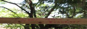 IMG_6247_convert_20130522090309.jpg